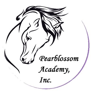 Pearblossom Academy, Inc. | Remote Learning Grades 9-12