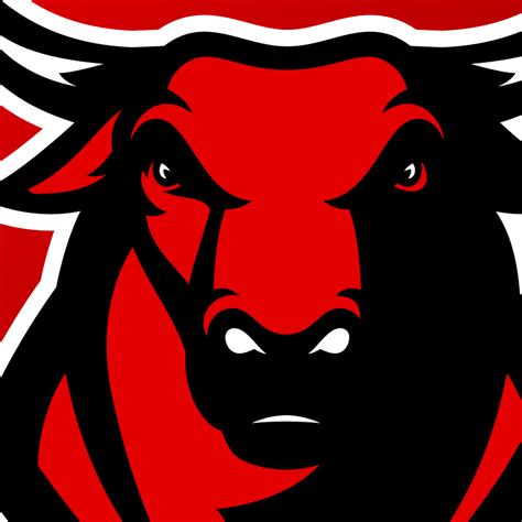 Chicago Bulls logo concept on Behance