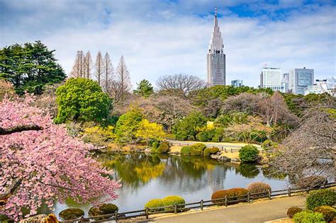 10 Tourist Attractions in Tokyo, Japan | Femina.in