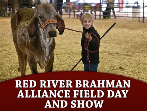 Red River Brahman Alliance Field Day and Show – The Brahman Journal