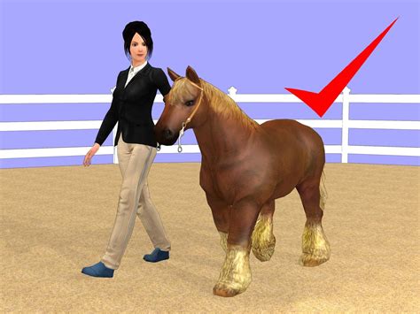 How to Show a Miniature Horse: 10 Steps (with Pictures) - wikiHow