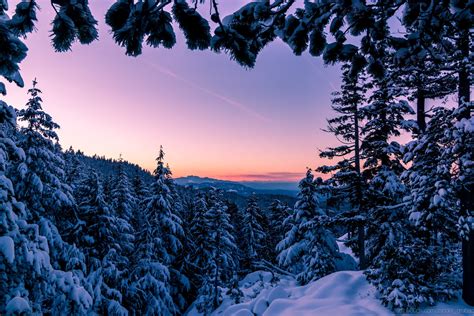 Winter wonderland! Vancouver Island, BC [OC][2560x1707] : EarthPorn