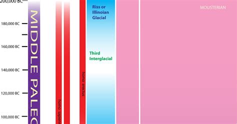 duckmarx: Middle & Upper Paleolithic Timeline