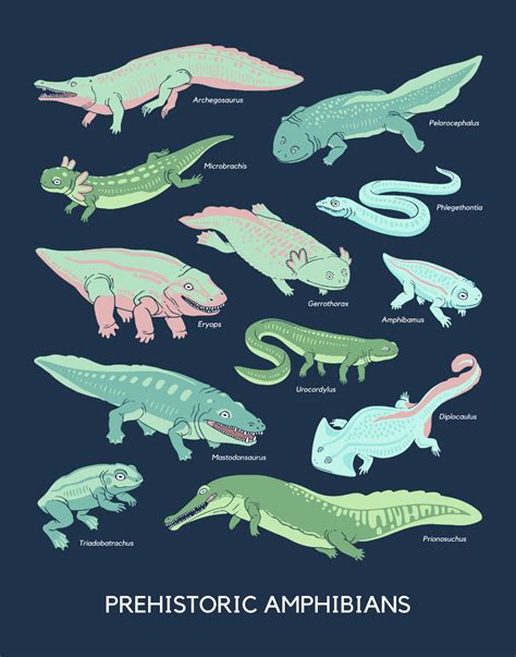 Prehistoric Amphibians poster – Studio 252MYA