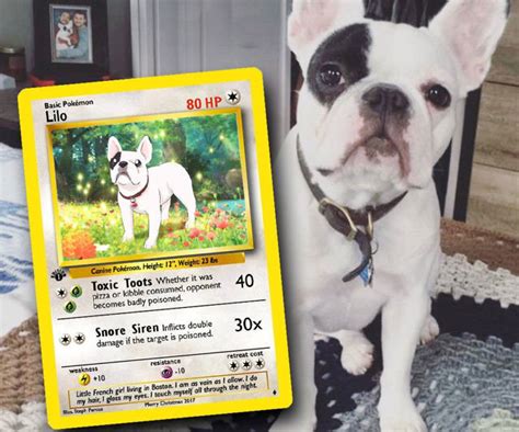 Personalized Pet Pokemon Cards