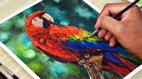 Painting Gouache Art & Collectibles Original gouache macaw painting etna.com.pe