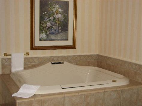 Jacuzzi Room - Picture of Hampton Inn & Suites Buffalo Downtown ...