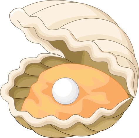 Premium Vector | Oyster with a pearl