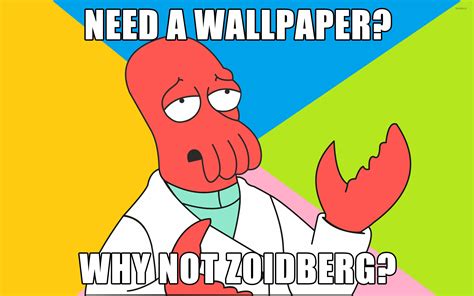 Why not Zoidberg? wallpaper - Meme wallpapers - #9046