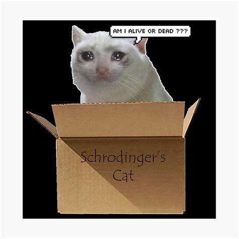 "Schrodingers Cat meme" Photographic Print by Faeblehoarder | Redbubble