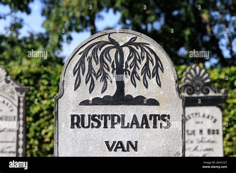 Marum, The Netherlands - September 2, 2022: Old grave with tree of life ...