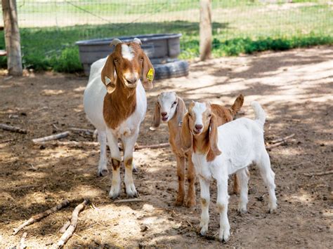 Harvest Farm Battles Addiction and Homelessness in Unexpected Ways