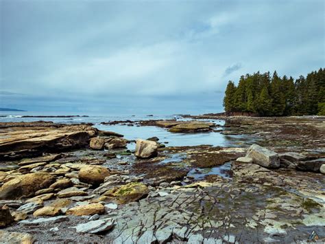 Juan de Fuca Marine Trail - Juan de Fuca Provincial Park • MB Guiding