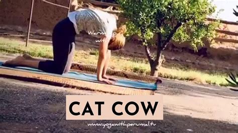 Cat Cow Breathing | Yoga with Perumal - YouTube