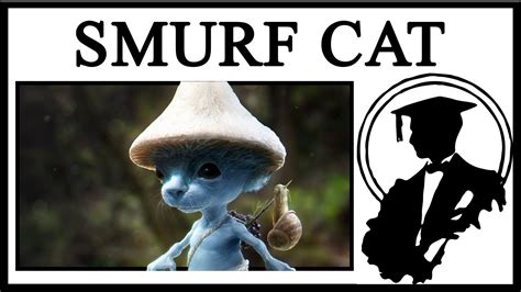 Is The Smurf Cat AI Generated? - YouTube