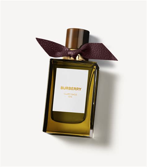 The 9 Best Burberry Perfumes, According to Reviews | Who What Wear