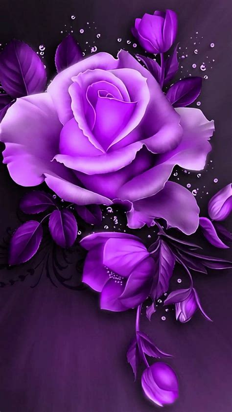 Pin by Jackie Thing on PURPLE | Purple flowers wallpaper, Purple roses wallpaper, Purple roses
