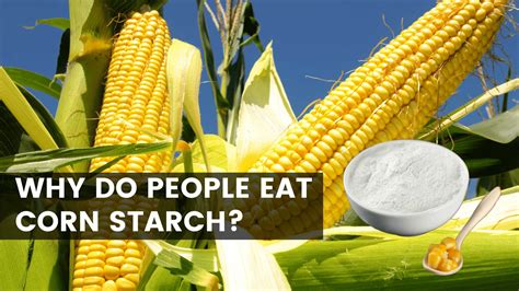 5 Reasons Why Do People Eat Corn Starch » Healthy Lifestyle