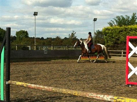 CROFTON MANOR EQUESTRIAN CENTRE (2024) All You Need to Know BEFORE You ...