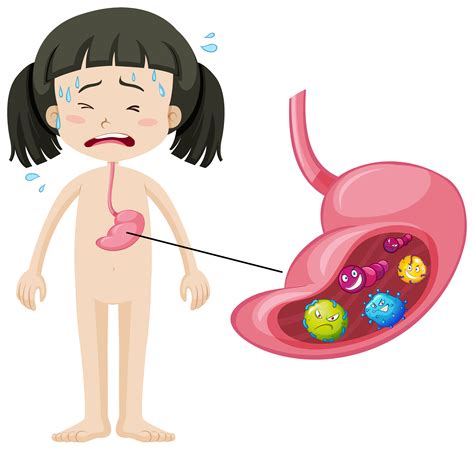 Girl with bacteria in stomach 294683 Vector Art at Vecteezy