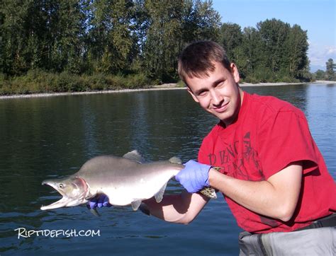 16 of the Best Skykomish River Fishing Spots