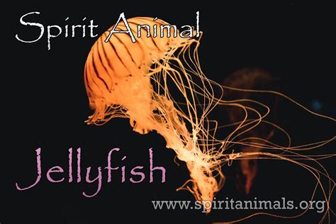 Jellyfish Spirit Animal – Meaning And Symbolism - Spirit Animals