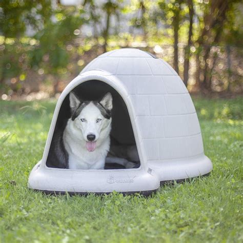 4 Best Husky Dog Houses of 2021 - Dog Wish