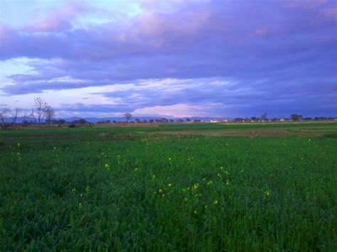 Kharian Photo by Ehtisham | 5:49 pm 23 Feb 2013