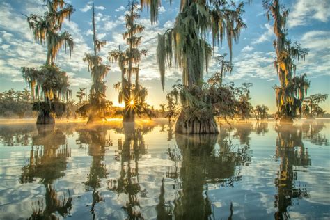 Photographing the Cypress Swamps of Louisiana & Texas - Cascade Center of Photography