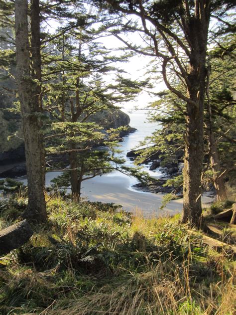 Best Hikes at Beautiful Cape Disappointment State Park, Washington - Pine Coast Hiking