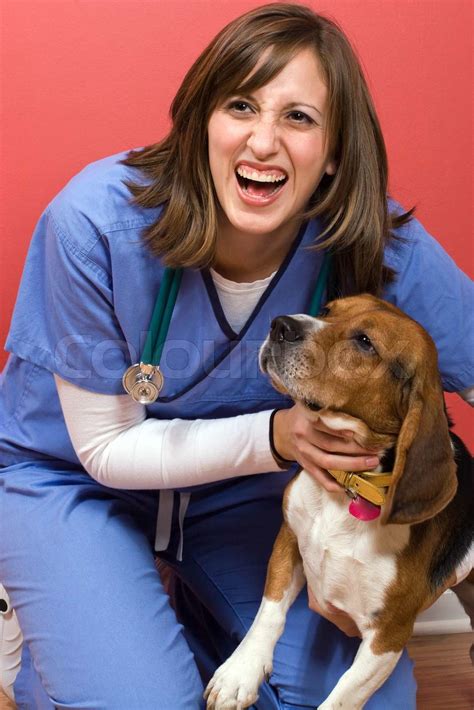 A veterinarian posing with a purebred beagle dog. | Stock image | Colourbox