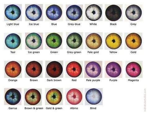 human eye colours | Eye color chart, Rare eye colors, Rare eyes