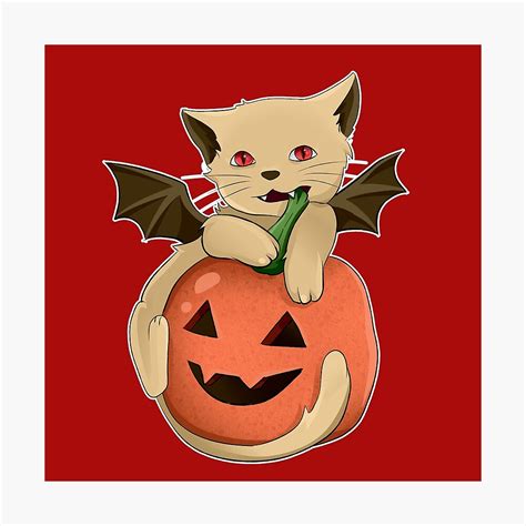 Halloween Cat Meme | canoeracing.org.uk