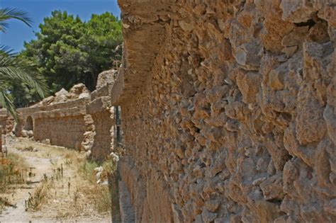 The Roman Amphitheater at Carthage, Tunisia | Steve's Genealogy Blog