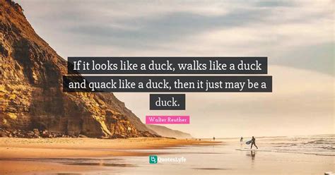 If it looks like a duck, walks like a duck and quack like a duck, then... Quote by Walter ...