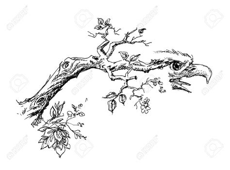 Tree Branch With Eagle Head Sketch Royalty Free Cliparts, Vectors ... | Branch drawing, Tree ...