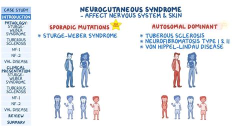 Neurocutaneous disorders: Pathology review: Video | Osmosis