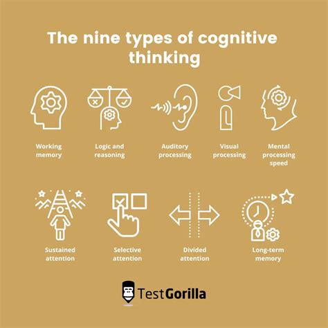 Cognitive Thinking Definition and How to Test for Cognitive Skills - TestGorilla