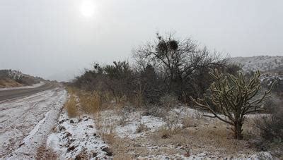 Snow blankets Hualapai Mountains above Kingman | | kdminer.com