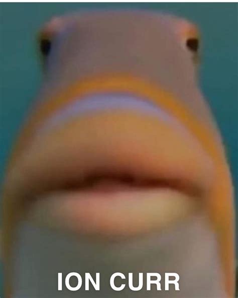 Fish Big Lips Meme | Sitelip.org