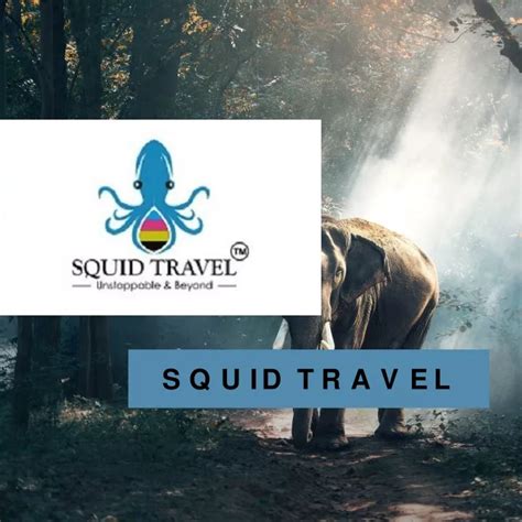 PPT - Kerala Wildlife Tour Packages | Squid Travel PowerPoint ...