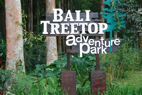 Bali Treetop Adventure – My Adventure Abroad