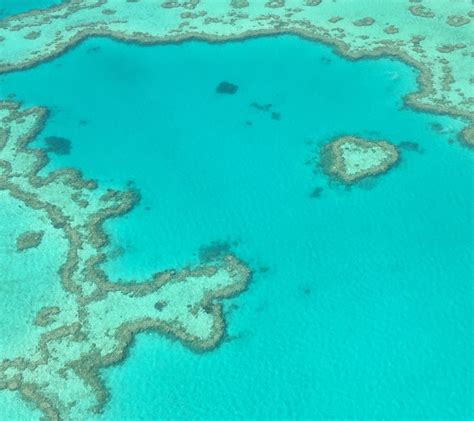 Heart reef at the Great Barrier Reef ️ | Great barrier reef, Birds eye view, Birds eye