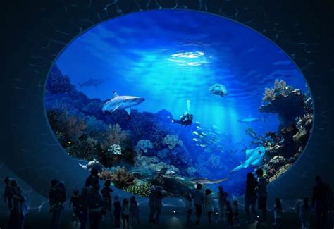 Seattle council approves $34m for Seattle Aquarium expansion | blooloop