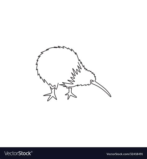 Kiwi Bird Drawing Outline