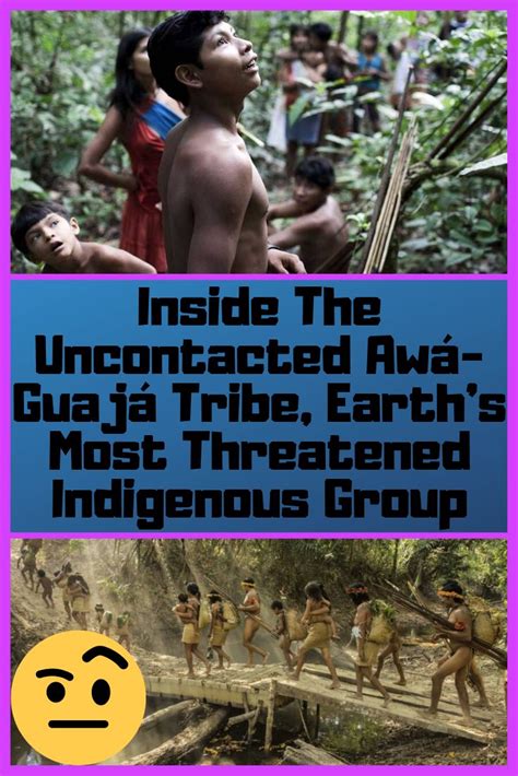 Rare Footage Proves Existence Of Uncontacted Amazon Tribe Widely Believed To Have Disappeared ...