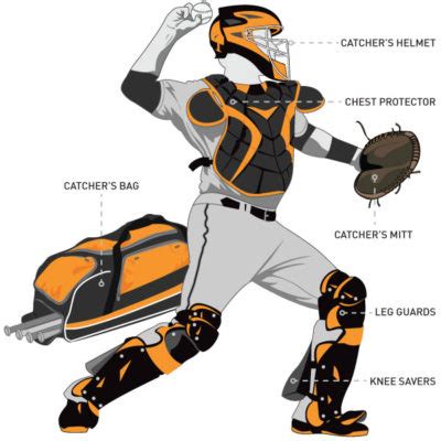 The Basics of Choosing Baseball Catcher’s Gear | PRO TIPS by DICK'S Sporting Goods