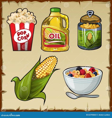 Corn And Corn Products, Five Varieties Of Food Stock Vector - Image ...