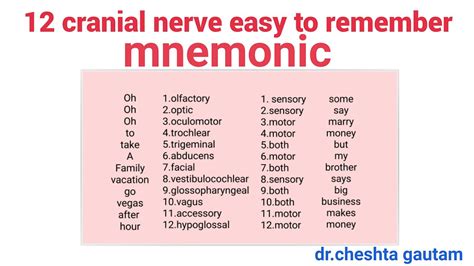 Mnemonic For Cranial Nerves Dirty