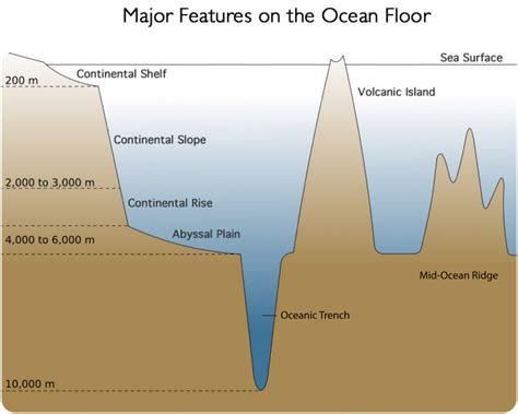 ocean floor diagram - Yarnal